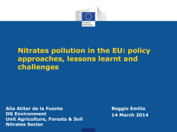 Nitrates pollution in the EU: policy approaches, lessons