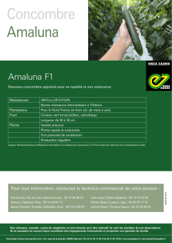 Concombre Amaluna