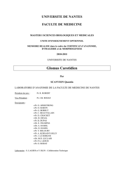 Glomus Carotidien - Universit&eacute; de Nantes