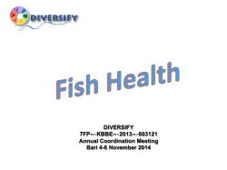 Download File - Diversify-eu