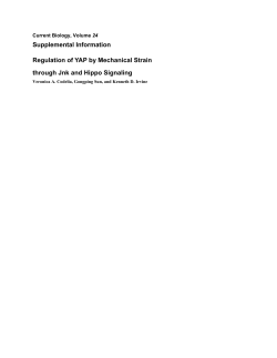 Document S1. Supplemental Experimental Procedures and
