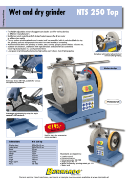 NTS 250 Top Wet and dry grinder