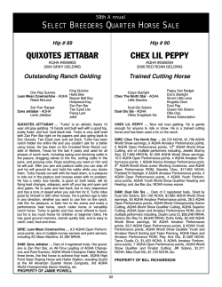 QUIXOTES JETTABAR CHEX LIL PEPPY