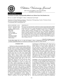 Nutritional Secondary Hyperparathyroidism in an African Lion Cub