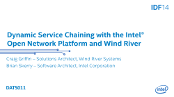 Dynamic Service Chaining Challenges