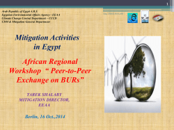 Mitigation Activities in Egypt - International Partnership on Mitigation