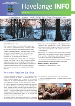 havel info fev 2014 web