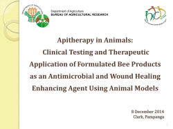 Clinical Testing and Therapeutic Application of Formulated Bee