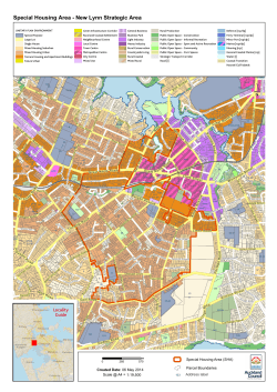 New Lynn strategic area map