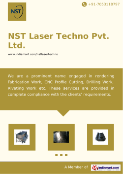 NST Laser Techno Pvt. Ltd., Ghaziabad - Service