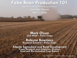 Faba Bean Production 101