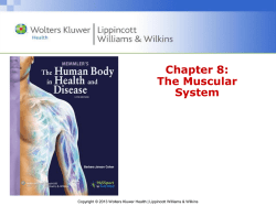 download book here