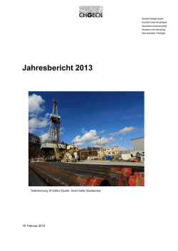 Jahresbericht 2013