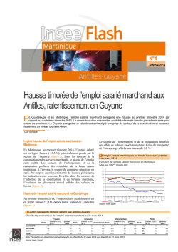 Insee Flash Emploi salari&eacute; marchand_972_T12014 _4