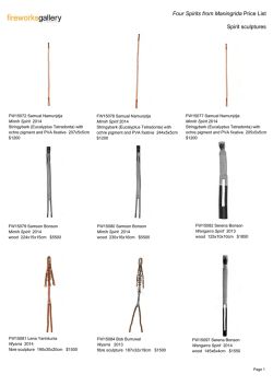 download pricelist - FireWorks Gallery