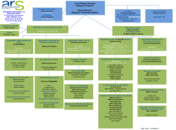 Organigramme de la DT 93