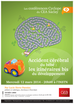 PDF affichette Accident cérébral du bébé : les itinéraires bis
