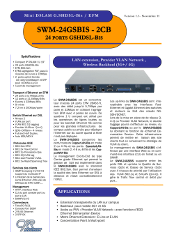 SWM-24GSBIS-2CB Mini DSLAM G.SHDSL Bis EFM (Fr)