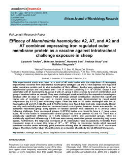Efficacy of Mannheimia haemolytica A2, A7, and A2 and A7