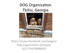 DOG OrganizaNon Tbilisi, Georgia