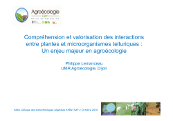 Lemanceau AFBV_Yvette [Lecture seule] - SAF