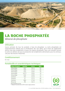 LA ROCHE PHOSPHATÉE Minerai de phosphate