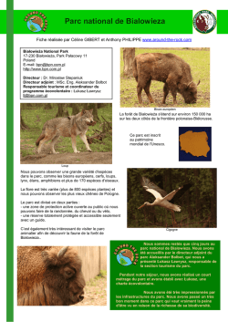fiche pdf - Around The Rock