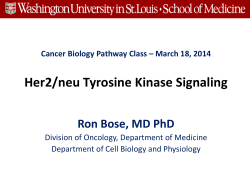 Her2/neu Tyrosine Kinase Signaling