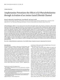 Amphetamine Potentiates the Effects ofЯ