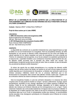 impact de la disponibilite en cations nutritifs sur la