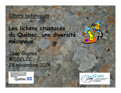 Les lichens crustacés du Québec, une diversité méconnue