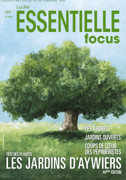 FETE DES PLANTES - Martine Fallon