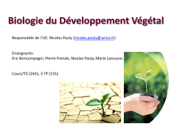 Biologie du Développement Végétal