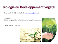 Biologie du Développement Végétal