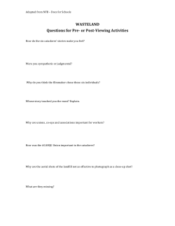 Wasteland Guiding Questions Worksheet (PDF)