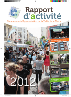 Rapport Activité 2012