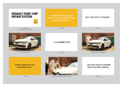 RENAULT PAINT CHIP REPAIR SYSTEM