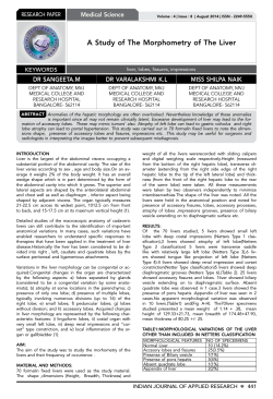 A Study of The Morphometry of The Liver
