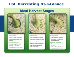 LSL Harvesting At-a-Glance