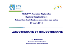 Hirudoth&eacute;rapie et larvoth&eacute;rapie - CLIN Sud