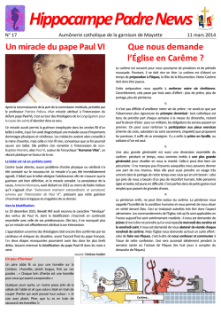 Hippocampe Padre News 17