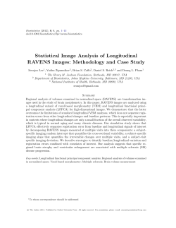 Statistical Image Analysis of Longitudinal RAVENS Images