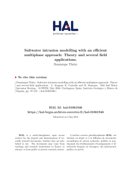 Saltwater intrusion modelling with an efficient - HAL-BRGM