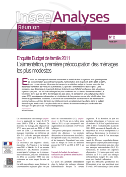 Insee Analyses Reunion BDF 20