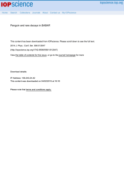 PDF (919 KB)