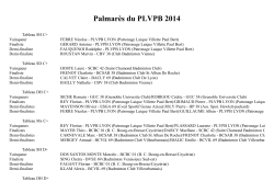 PLVPB 2014 - Palmares - Section badminton du PLVPB