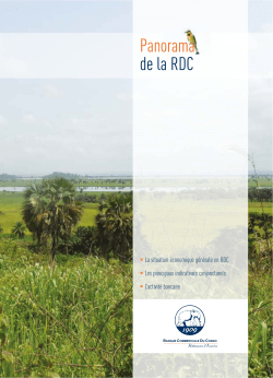 Panorama de la RDC - Banque commerciale du Congo
