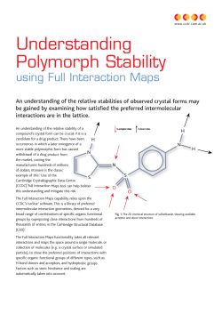 Understanding Polymorph Stability
