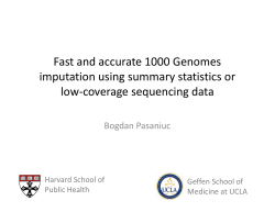 Fast and accurate 1000 Genomes imputation using summary