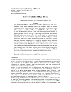 Hollow Stabilized Mud Blocksa